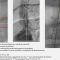 Diapositiva05