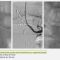 Diapositiva14