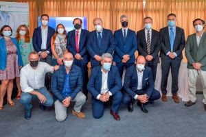 Curso Experto Gestión de Procesos Asistenciales en Radiología Vascular Intervencionista